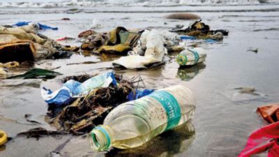 Foreshore Estate: Chennai: Sea sends back garbage at Foreshore Estate ...