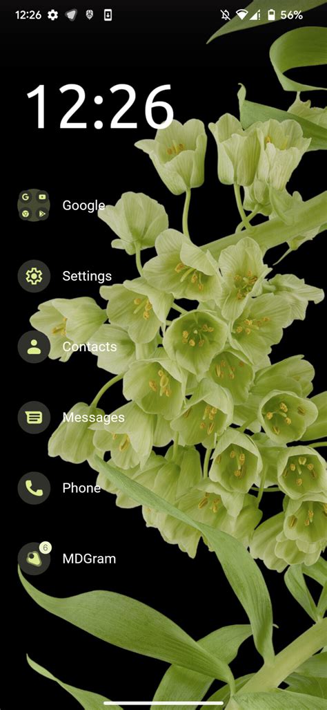 Image result for Android 12 Home Screen