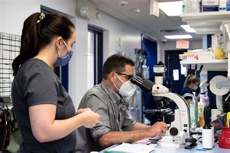 Veterinarians in Coatesville, PA - Brandywine Valley Veterinary Hospital