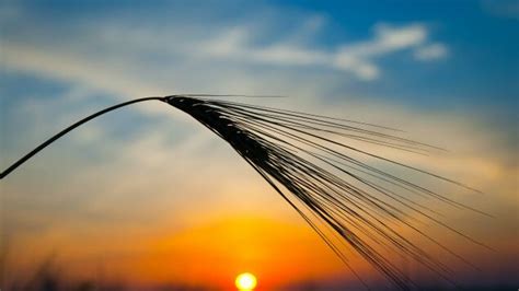 Frac Spread: NGL Prices Stabilizing As Summer Drawing To An End - Hart ...