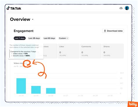 TikTok Analytics 的图像结果