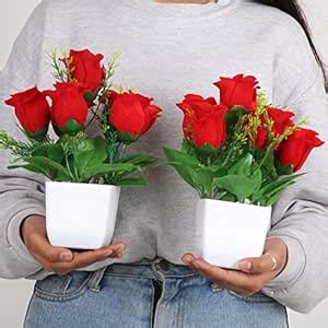 Buy Litleo® Set of 2 Flower Set for Home Décor, Office Décor Or Gift ...