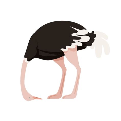 Schattige struisvogel met verbergen hoofd Afrikaanse loopvogel cartoon ...