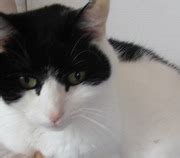 lakewood - cleveland.com