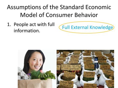 Standard Economic Model