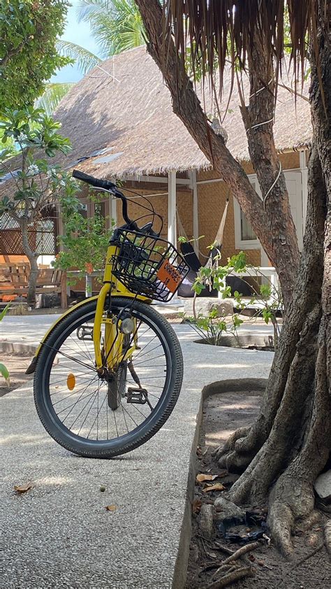 MOWIES BUNGALOWS, GILI AIR (Gili Islands) - Villa Reviews, Photos, Rate ...