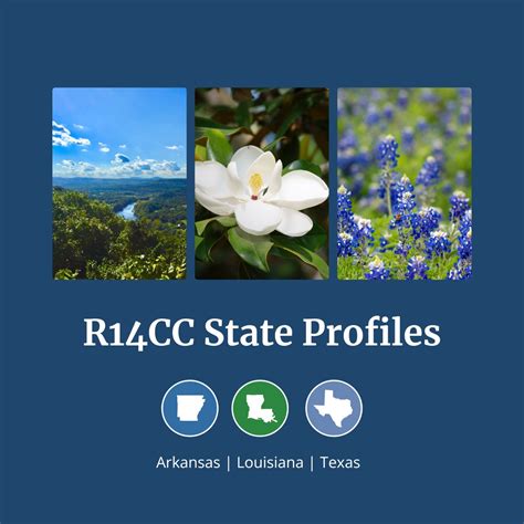 Region 14 Comprehensive Center on LinkedIn: Region 14 Comprehensive Center State Profiles