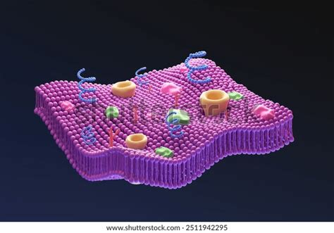 Plasma Cell Structure 的图像结果