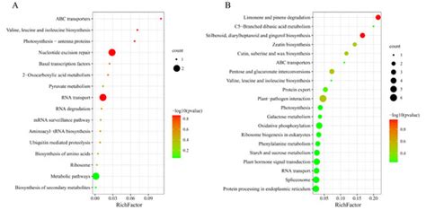 Plants | Special Issue : Role of Epigenetics and Epigenomics in Plant ...