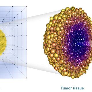 Image result for Cell Multiphysics Simulation