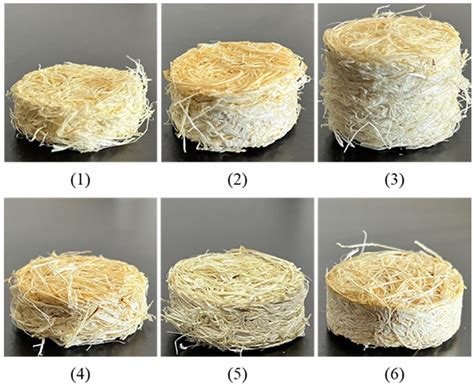 Potential Application of Fibers Extracted from Recycled Maple Leaf ...
