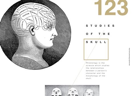 Image result for Inanimate Object