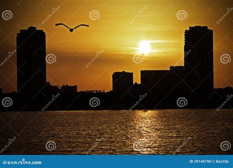 St. Petersburg, FL Sunset stock photo. Image of clouds - 29149790