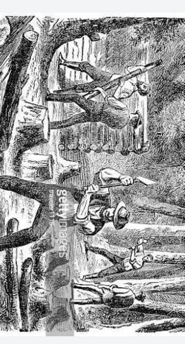 is ped kaatne ke Chitra ka 15 se 20 lineon mein varnan kijiye Hindi ...