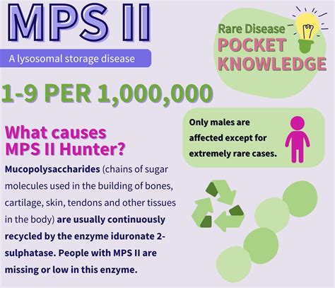 MPS II - Hunter — Rare Disease Research Partners