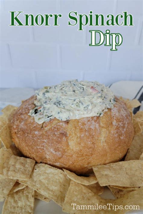 Classic Knorr Spinach Dip Recipe