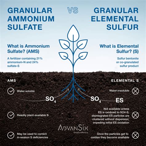 Get to Know Your Sulfur Sources: AMS vs. Elemental Sulfur | Newsroom ...