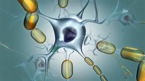 Brain Neuron 的图像结果