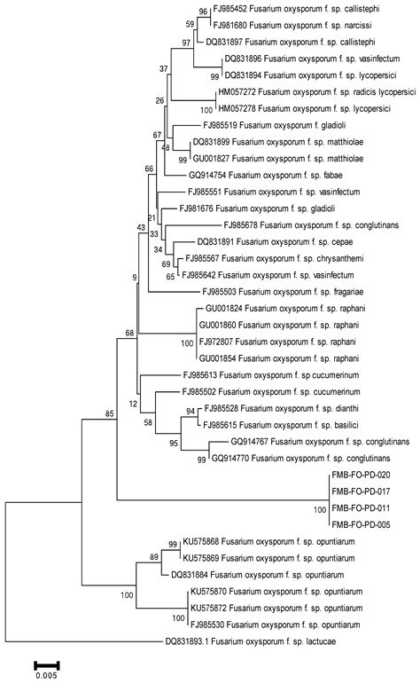Integrative Pathogenicity Assay and Operational Taxonomy-Based ...