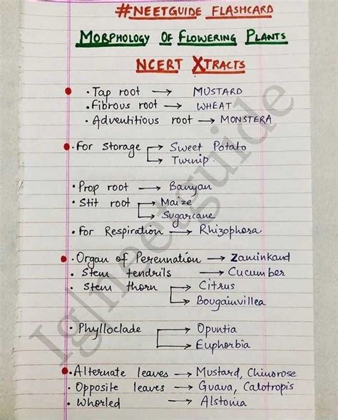 Short notes part I (morphology of flowering plants) its all about to ...