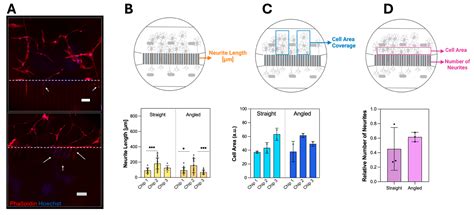 Roll-to-Roll (R2R) High-Throughput Manufacturing of Foil-Based ...