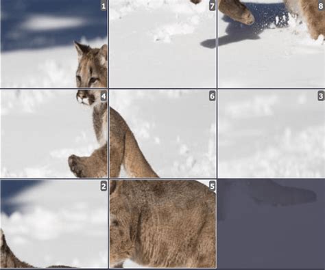 Online sliding puzzles for kids– Page 2– Olympiad tester