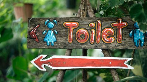 Are you ready for a gross gardening hack? Discover how taking a pee can power up your plants ...