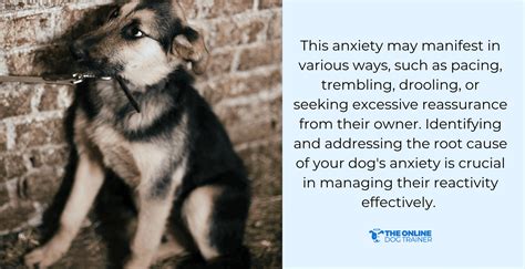 Image result for Reactive Behavior