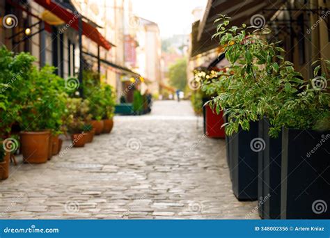 Old Europe City Street Cobble Stone Pavement Floor and Flower Pots ...