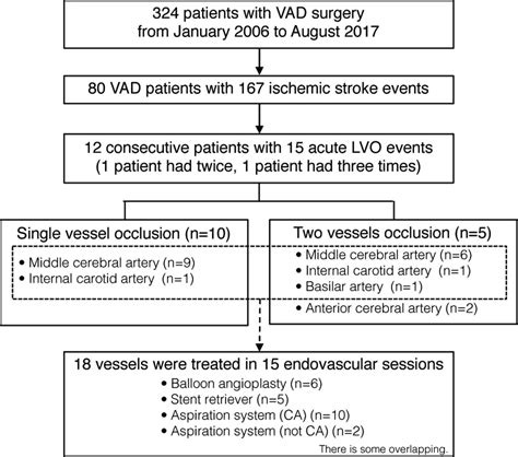 Endovascular treatment for large vessel occlusion stroke in patients with ventricular assist ...
