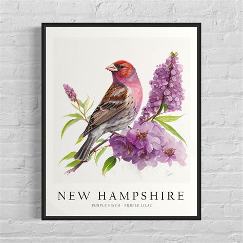 New Hampshire State Bird Art Print, New Hampshire State Flower, New ...