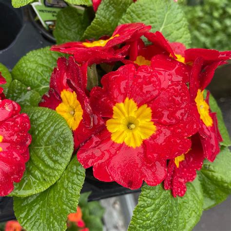 Farmers' Union Marketplace | Eugene OR