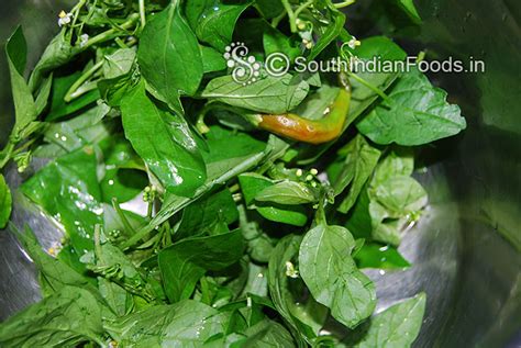 Karuveppilai manathakkali chutney | Black night shade Curry leaves ...