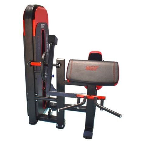 Bicep / Tricep Combo (Magnum) — MSFFIT