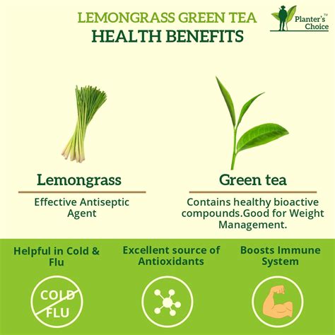 Lemongrass Green Tea, Loose Leaf, 100GMS – Planter's Choice