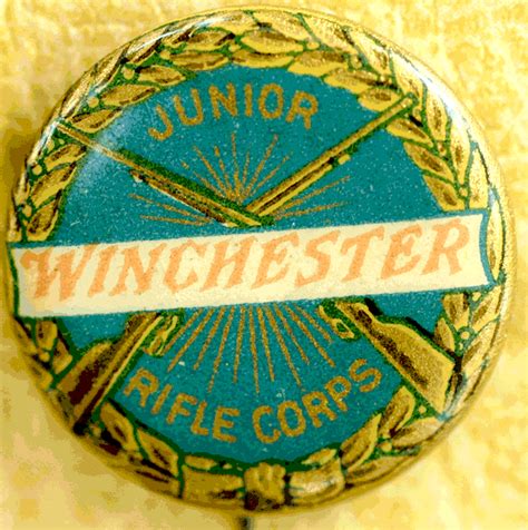 Image result for pinback