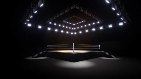 Boxing Ring Top View 的图像结果