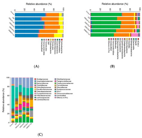 Effects of Rich-Polyphenols Extract of Dendrobium loddigesii on Anti ...