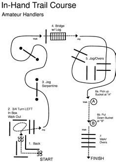 In Hand Trail Patterns 的图像结果