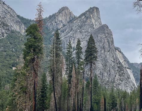 Yosemite Valley Floor Tour (Yosemite National Park) - All You Need to ...