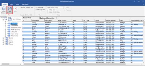 Opening Old Access Database Files 的图像结果
