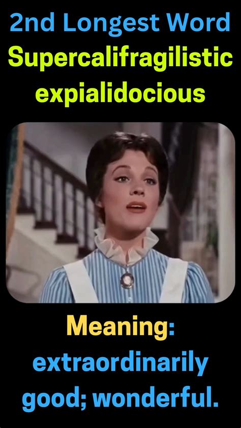 Longest Chinese Word