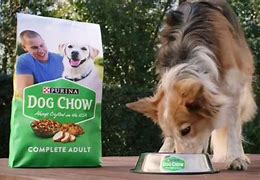 Image result for Purina Dog Chow Feeding Chart