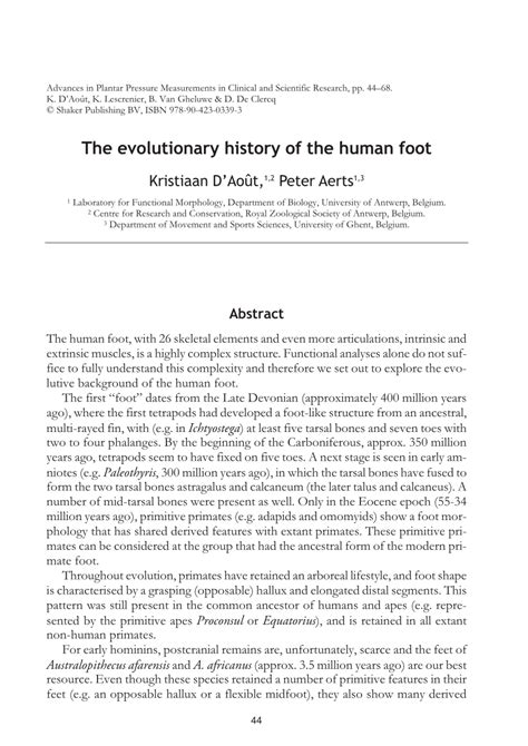 Human Foot Evolution 的图像结果