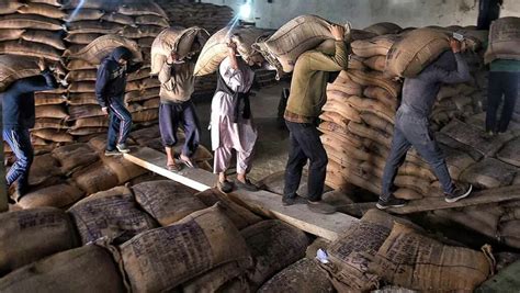 India’s food safety and security impracticable until FSSAI and FCI are ...