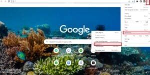 Open Extensions 的图像结果