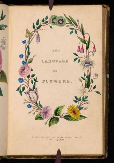 The Language of Flowers: A Charming Book with Floral Designs