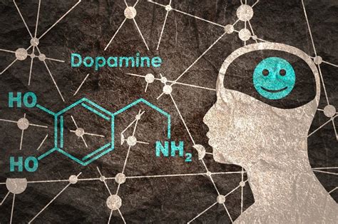 What’s Dopamine & How To Supplement It For Boosting Focus & Memory ...