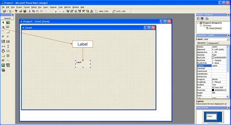 Label Visual Basic 的图像结果