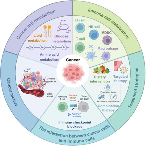 Figure 2 from Metabolism of cancer cells and immune cells in the initiation, progression, and ...